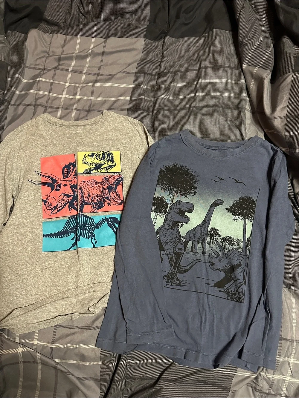 Boys' Dinosaur Graphic Long-Sleeve Tee - Gray & Blue bundle of two